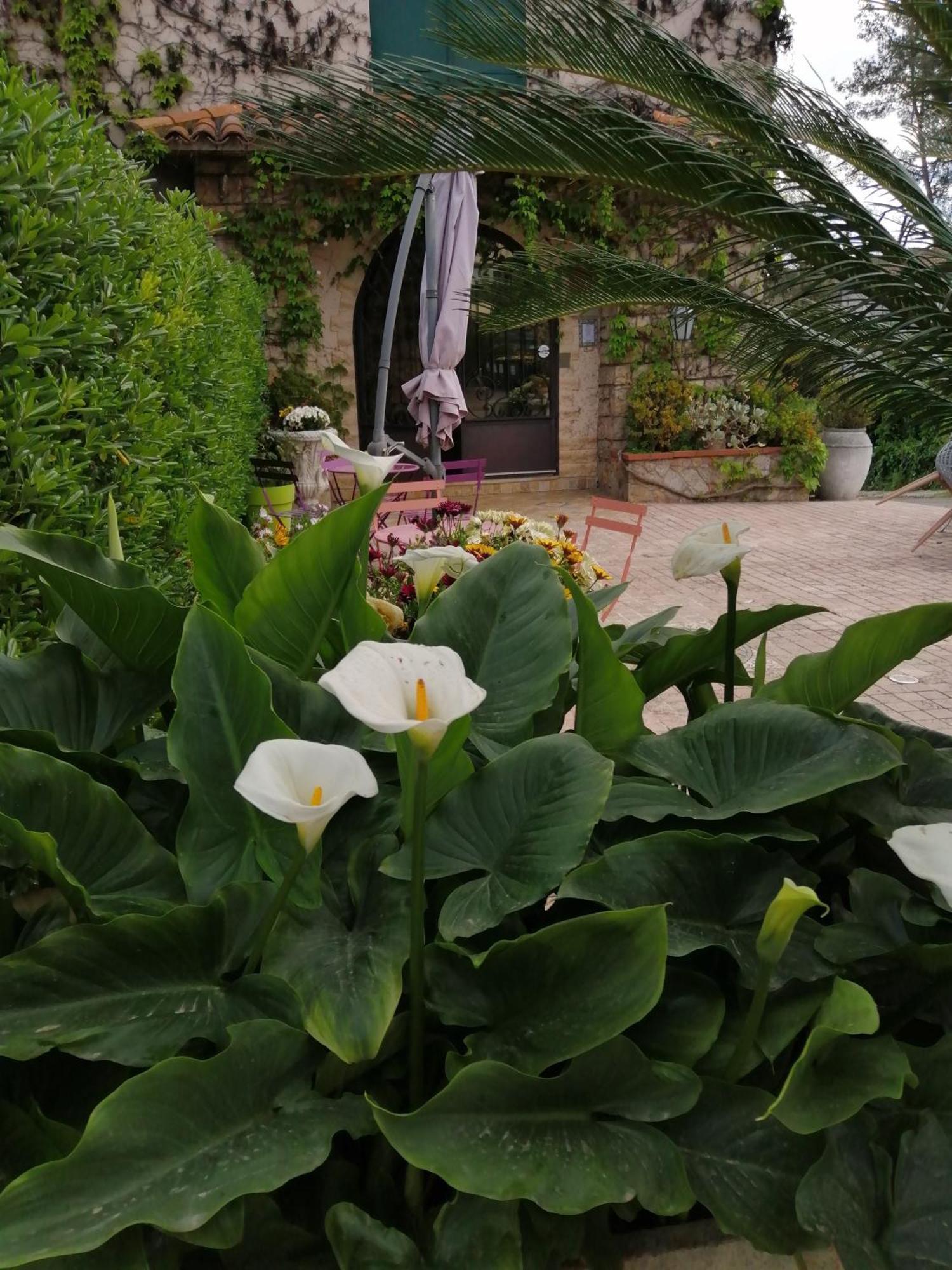 Auberge Les Aromes Grasse Buitenkant foto